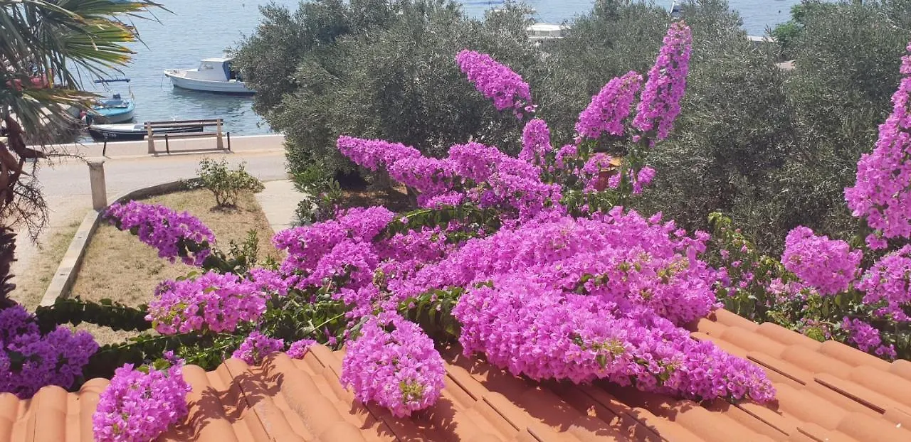 Bed And Breakfast Nika Barbat na Rabu 0*,